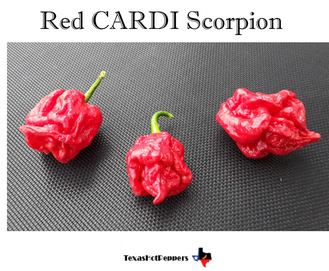 Red CARDI Scorpion