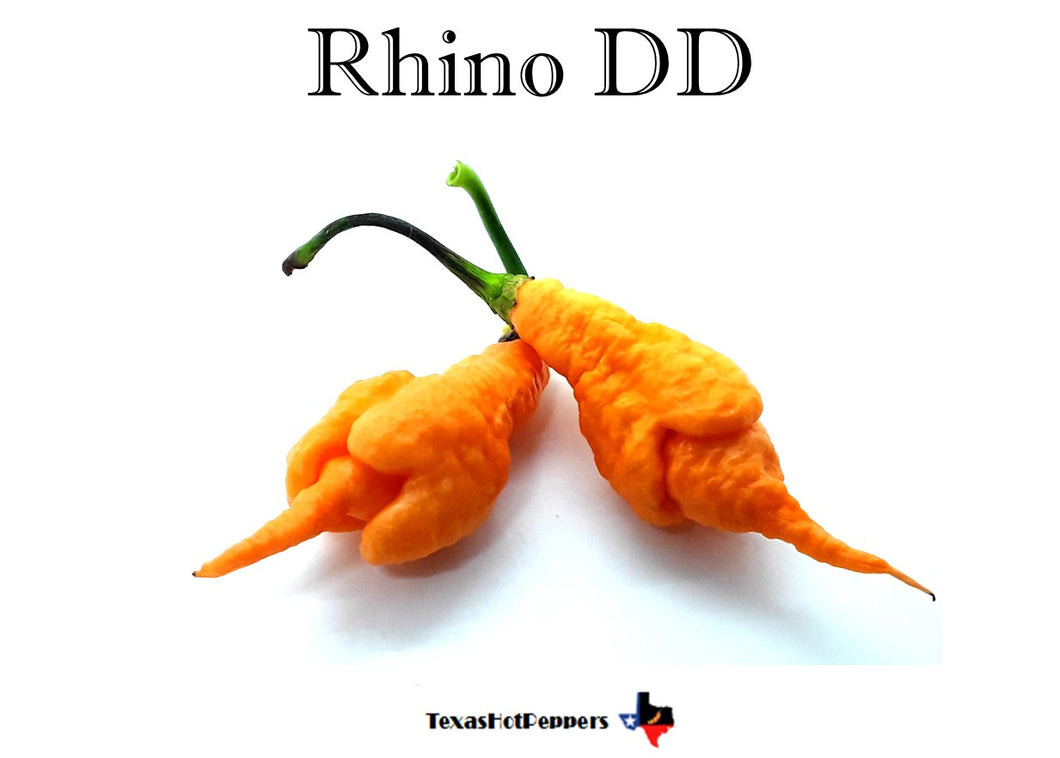 Rhino DD