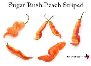 Sugar Rush Peach Striped