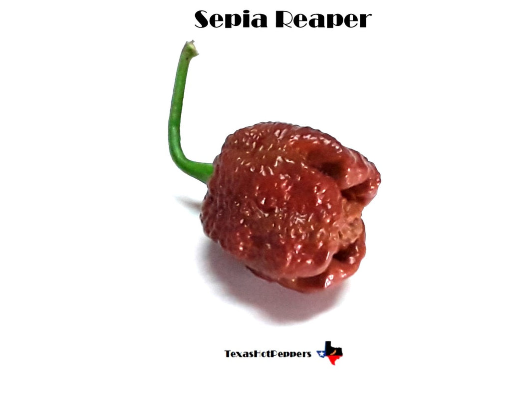 Sepia Reaper