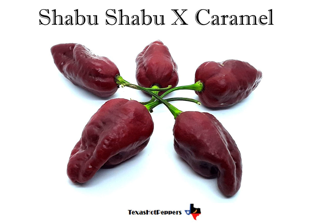 Shabu Shabu X Caramel