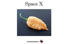 Load image into Gallery viewer, Space X F5