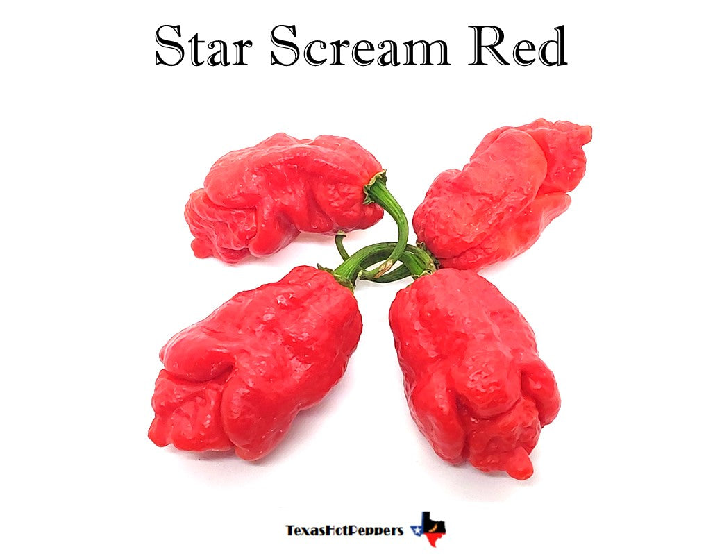 Star Scream Red