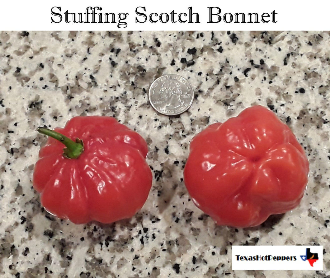 Stuffing Scotch Bonnet