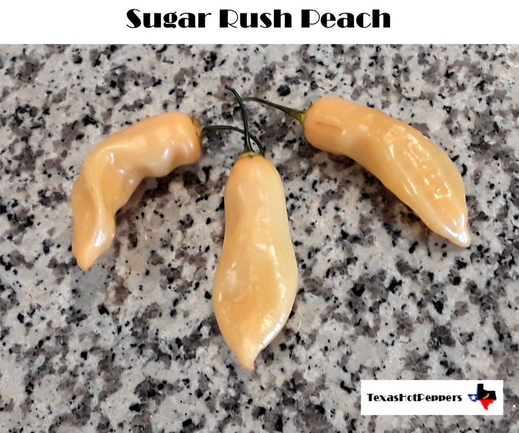 Sugar Rush Peach
