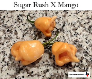 Sugar Rush X Mango