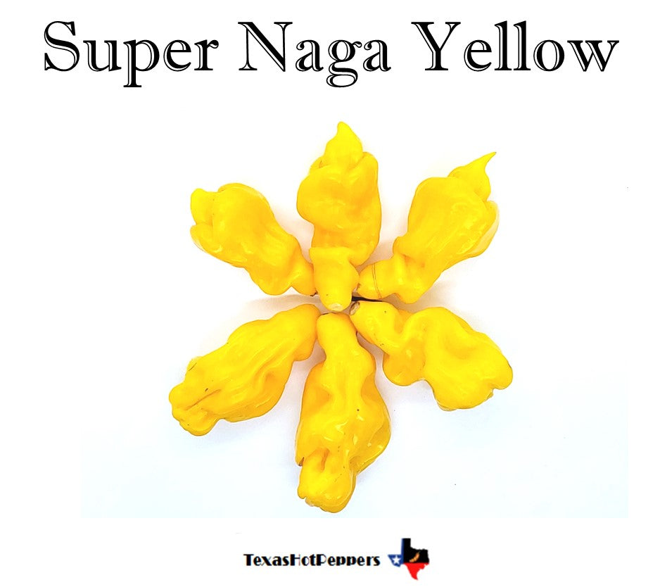 Super Naga Yellow – Texas Hot Peppers