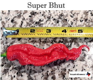 Super Bhut