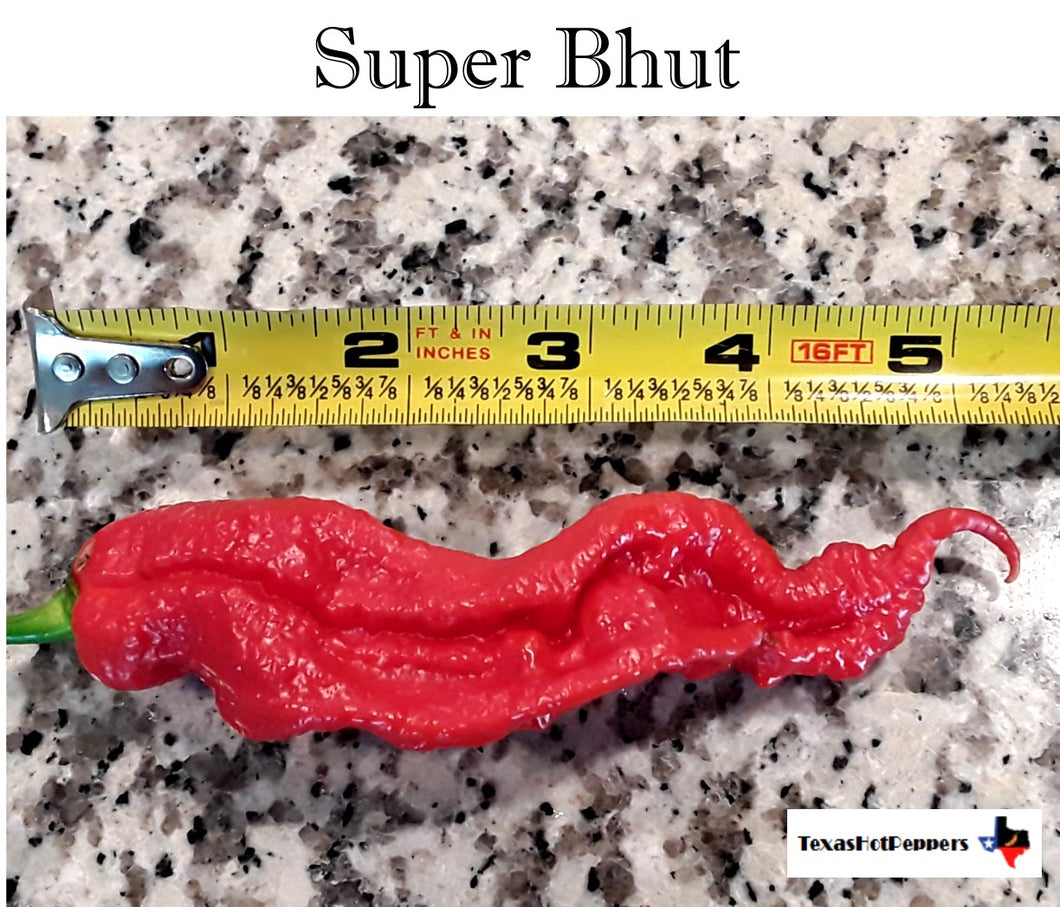 Super Bhut