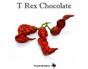 T Rex Chocolate