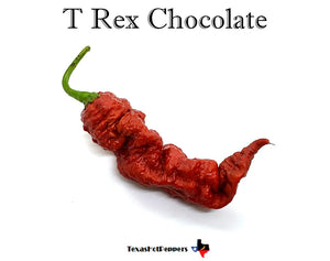 T Rex Chocolate