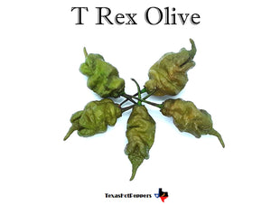 T Rex Olive