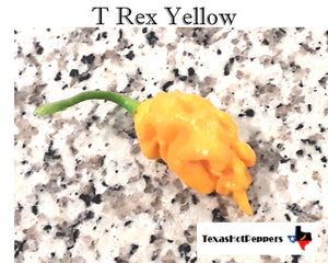 T Rex Yellow