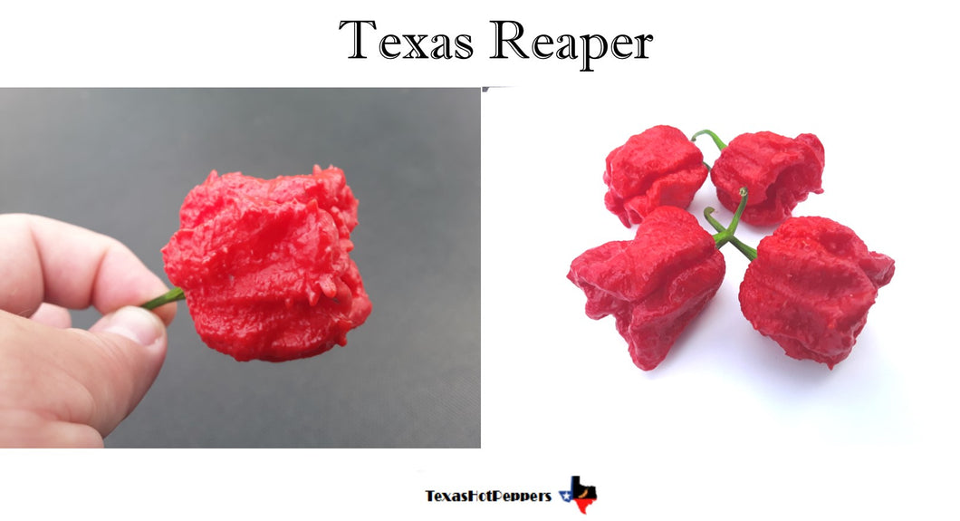 Texas Reaper F2