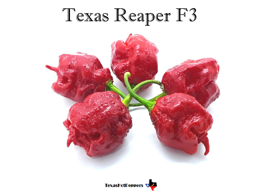 Texas Reaper F3