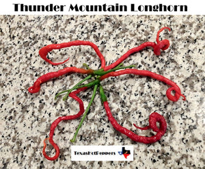 Thunder Mountain Longhorn
