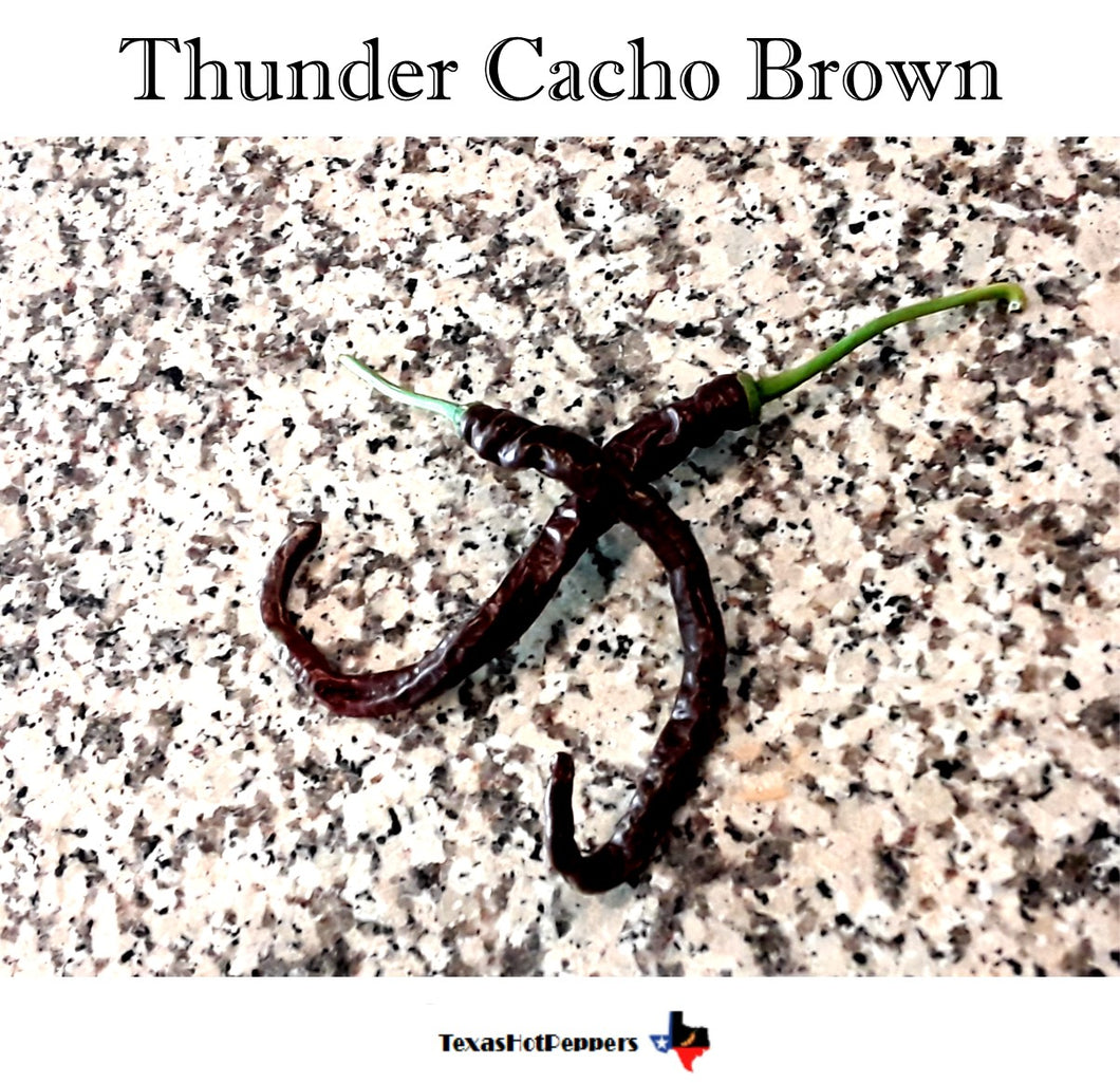 Thunder Cacho Brown