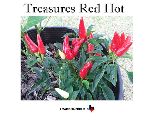 Treasures Red Hot