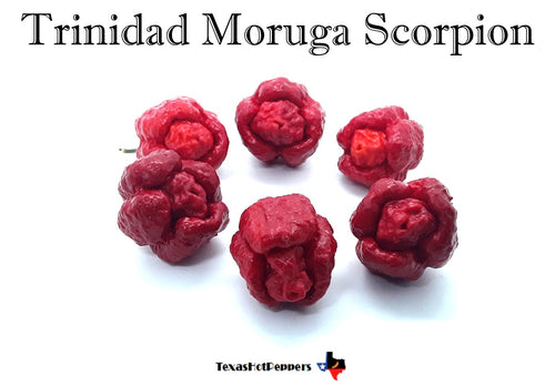 Trinidad Moruga Scorpion