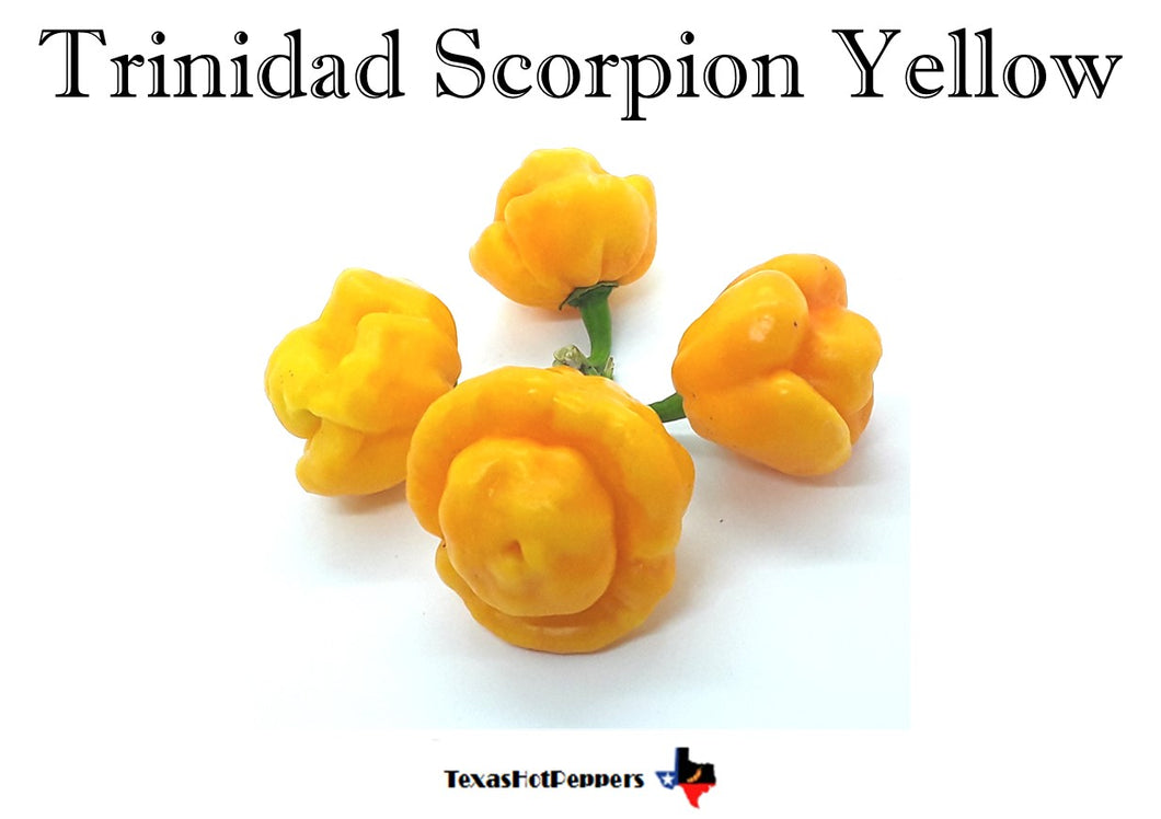Trinidad Scorpion Yellow