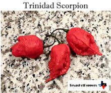 Load image into Gallery viewer, Trinidad Scorpion
