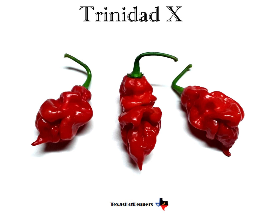 Trinidad X