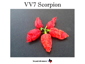 VV7 Scorpion