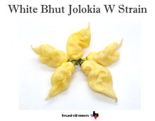 Load image into Gallery viewer, White Bhut Jolokia W Strain