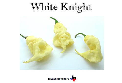 White Knight