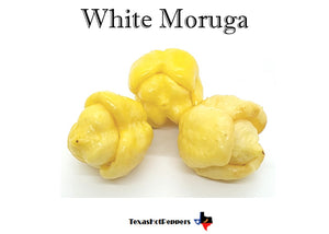 White Moruga