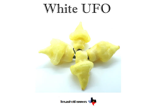 White UFO