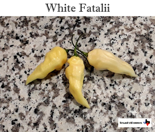 White Fatalii