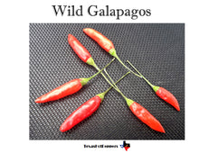 Load image into Gallery viewer, Wild Galapagos