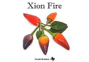 Xion Fire