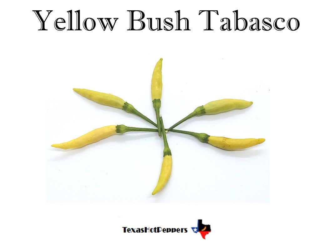 Yellow Bush Tabasco