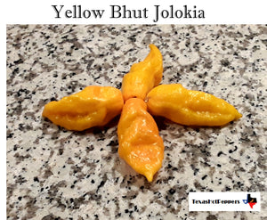 Yellow Bhut Jolokia
