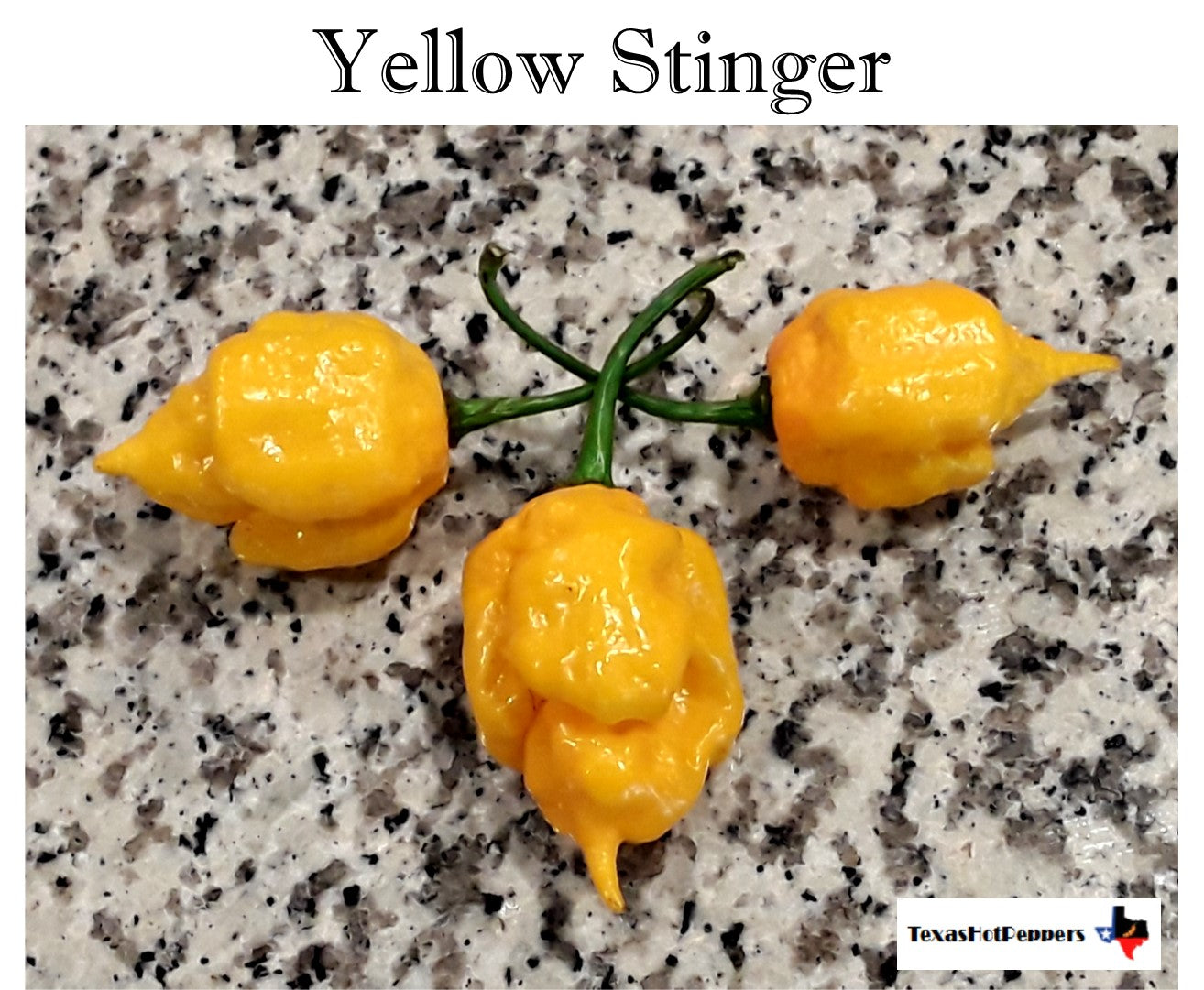 Daisy Cutter Yellow – Texas Hot Peppers