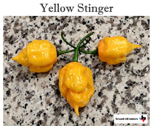 Yellow Stinger