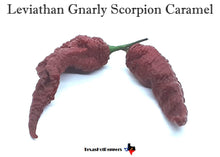 Load image into Gallery viewer, Leviathan Gnarly Scorpion Caramel Seeds