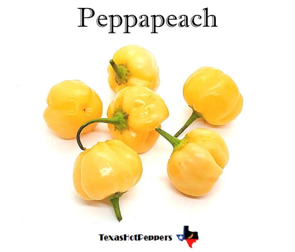Peppapeach – Texas Hot Peppers